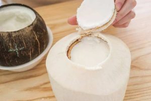 椰青汁炖燕窝的做法