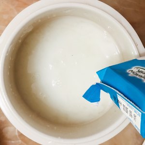 桃胶牛奶炖燕窝的做法 步骤6