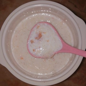 桃胶牛奶炖燕窝的做法 步骤9