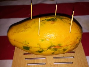 木瓜炖燕窝的做法 步骤4